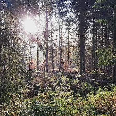 Hébergement de vacances 