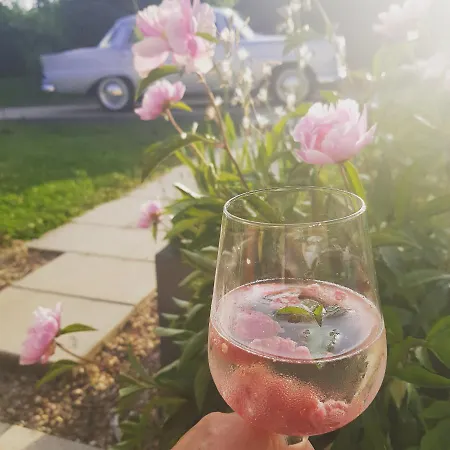 Hébergement de vacances 