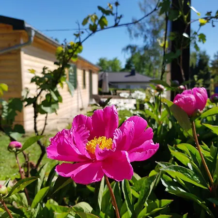Hébergement de vacances 